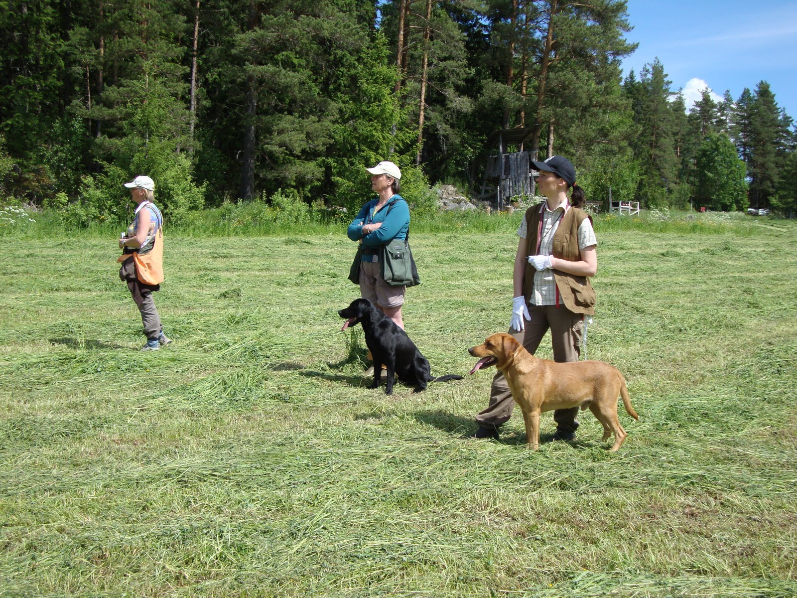 diskret ledsagare stor diskret ledsagare stor